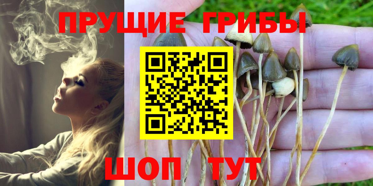 Чебаркуль  Псилоцибиновые грибы мицелий  Вход с VPN 
